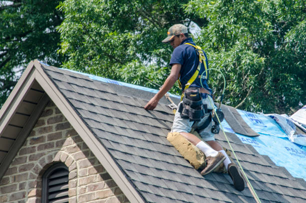 Best Roof Gutter Cleaning  in North Eagle Butte, SD